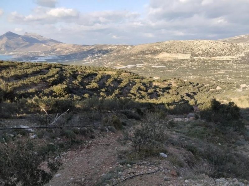 Phalasarna Kreta, Phalasarna: Grundstück zum Verkauf in Falassarna, Chania Grundstück kaufen